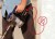 dd1cafddda3929412ef3c7adf2324bec.jpg